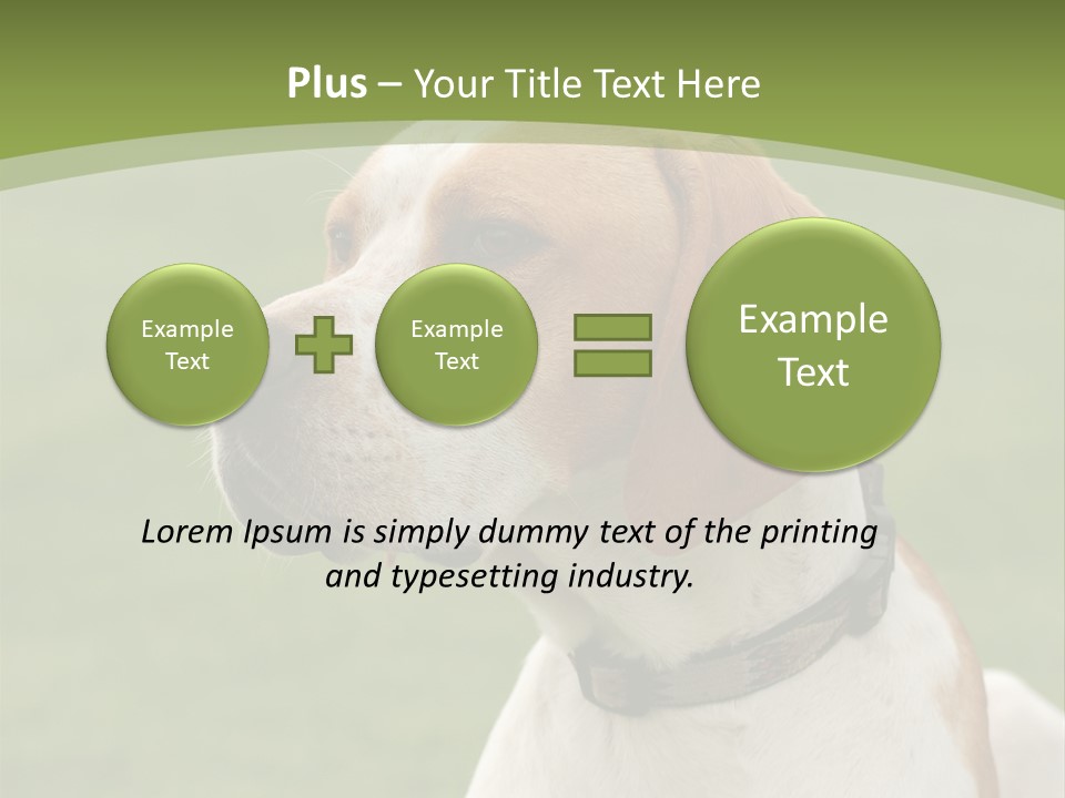 A Brown And White Dog Sitting On Top Of A Green Field PowerPoint Template