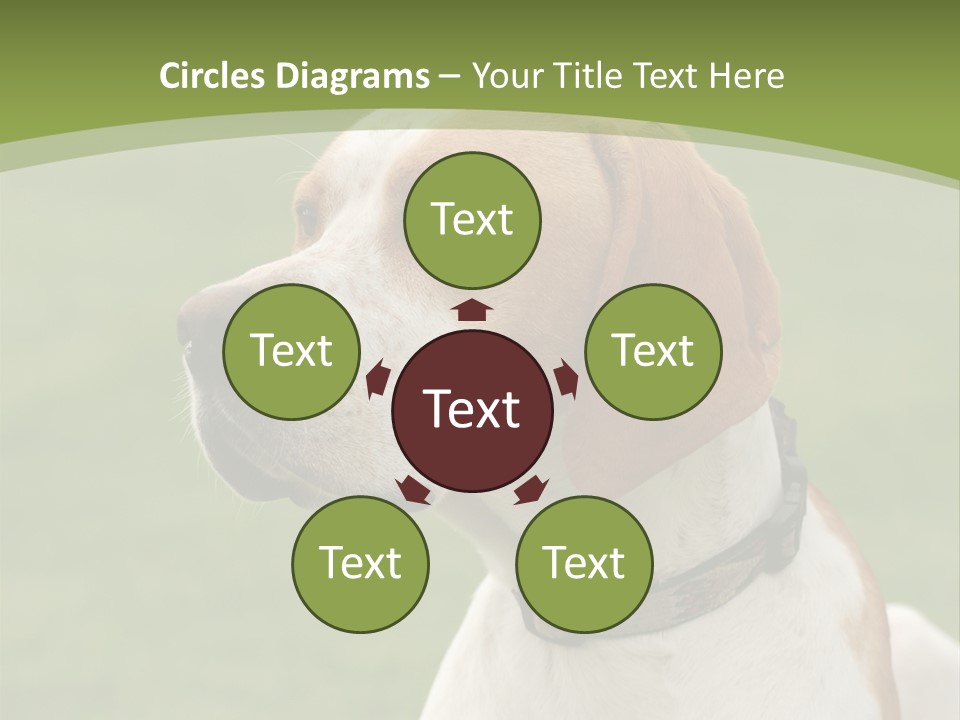 A Brown And White Dog Sitting On Top Of A Green Field PowerPoint Template