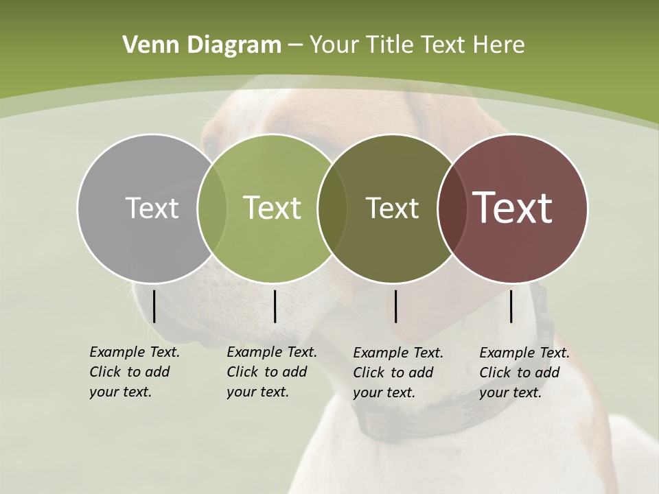 A Brown And White Dog Sitting On Top Of A Green Field PowerPoint Template