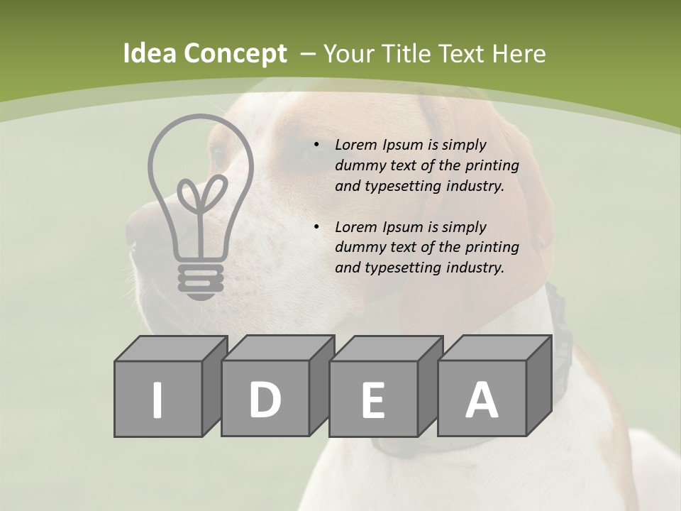 A Brown And White Dog Sitting On Top Of A Green Field PowerPoint Template