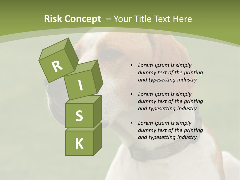 A Brown And White Dog Sitting On Top Of A Green Field PowerPoint Template