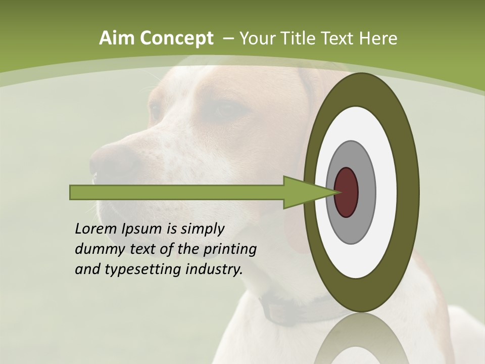 A Brown And White Dog Sitting On Top Of A Green Field PowerPoint Template