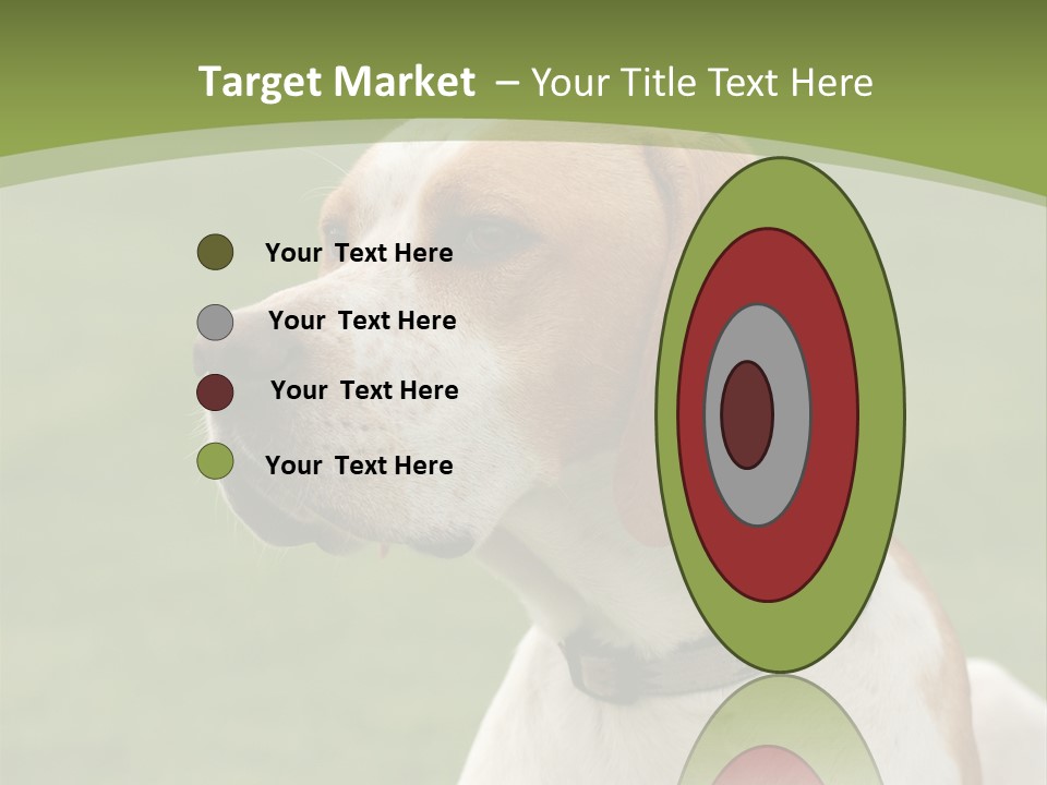 A Brown And White Dog Sitting On Top Of A Green Field PowerPoint Template