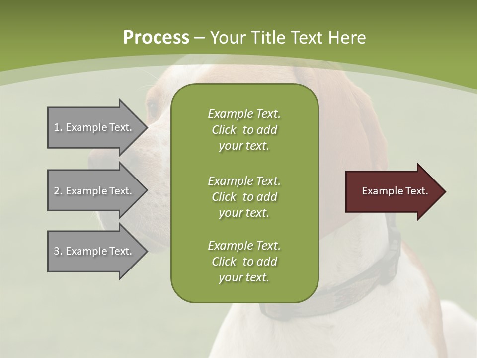 A Brown And White Dog Sitting On Top Of A Green Field PowerPoint Template