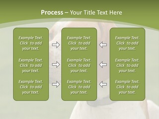 A Brown And White Dog Sitting On Top Of A Green Field PowerPoint Template