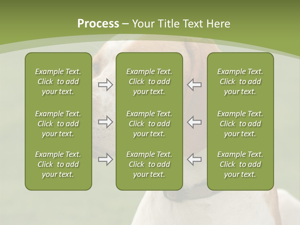 A Brown And White Dog Sitting On Top Of A Green Field PowerPoint Template