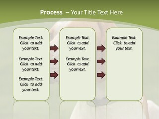 A Brown And White Dog Sitting On Top Of A Green Field PowerPoint Template