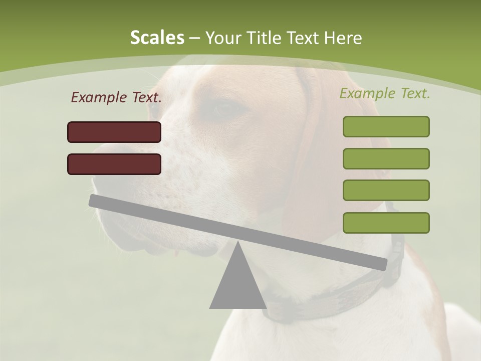 A Brown And White Dog Sitting On Top Of A Green Field PowerPoint Template