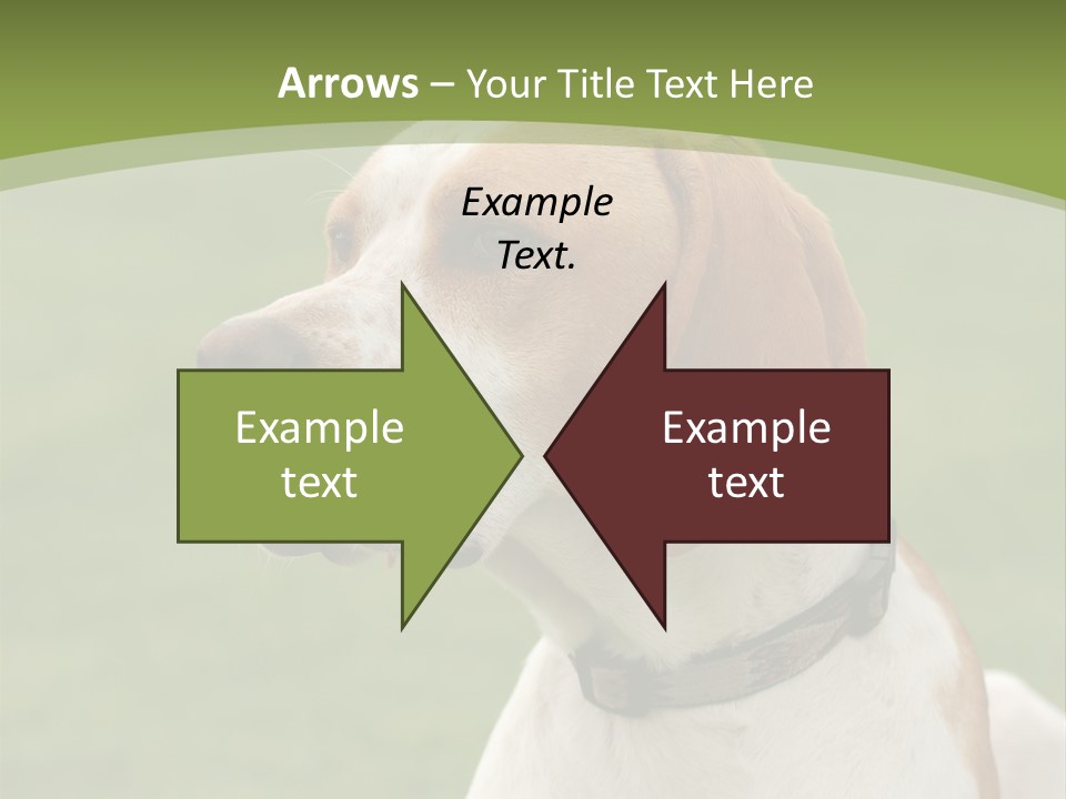 A Brown And White Dog Sitting On Top Of A Green Field PowerPoint Template