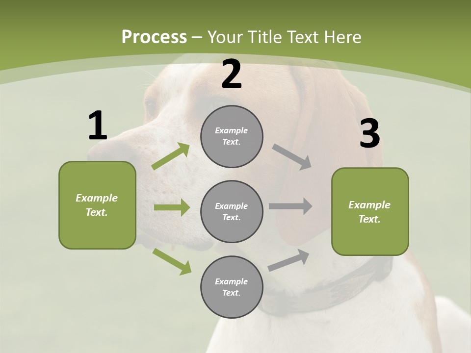 A Brown And White Dog Sitting On Top Of A Green Field PowerPoint Template