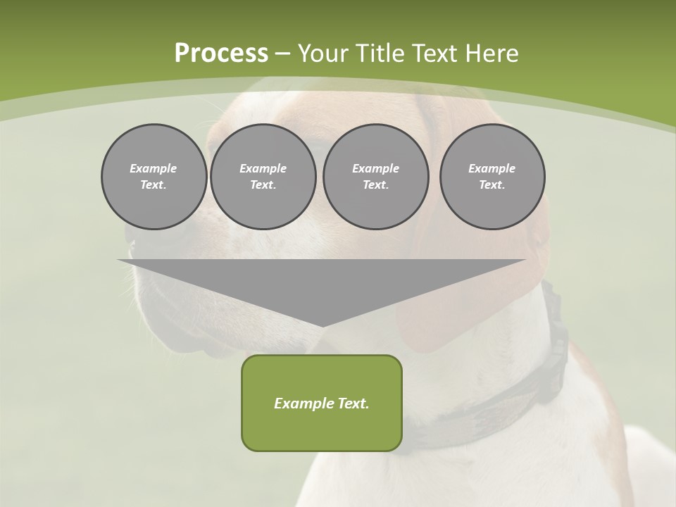 A Brown And White Dog Sitting On Top Of A Green Field PowerPoint Template