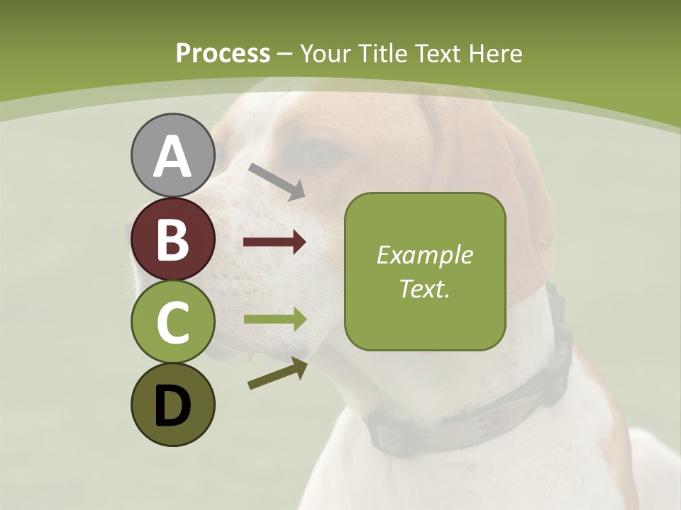 A Brown And White Dog Sitting On Top Of A Green Field PowerPoint Template
