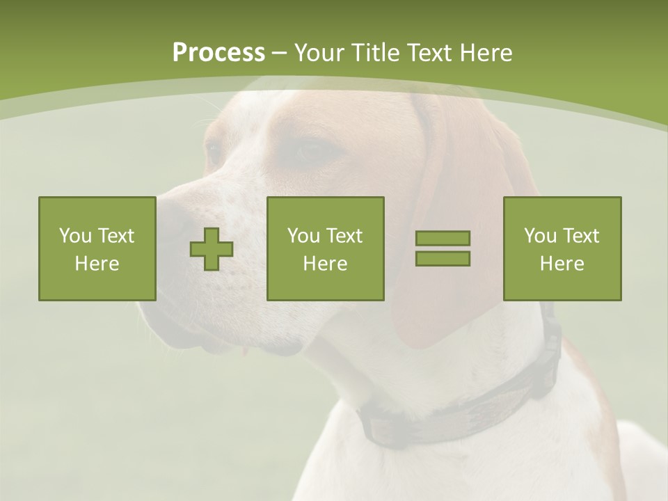 A Brown And White Dog Sitting On Top Of A Green Field PowerPoint Template
