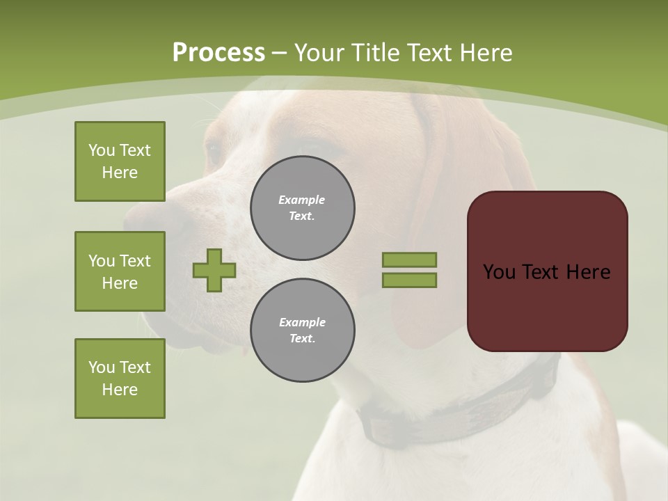 A Brown And White Dog Sitting On Top Of A Green Field PowerPoint Template