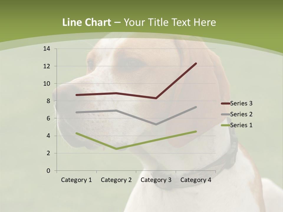 A Brown And White Dog Sitting On Top Of A Green Field PowerPoint Template
