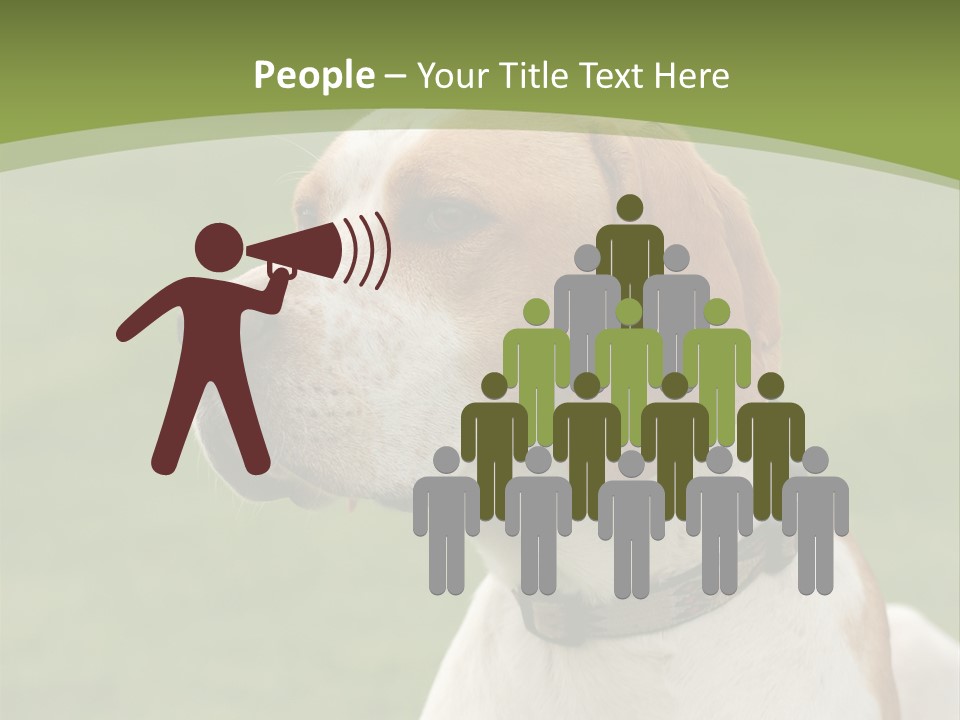 A Brown And White Dog Sitting On Top Of A Green Field PowerPoint Template