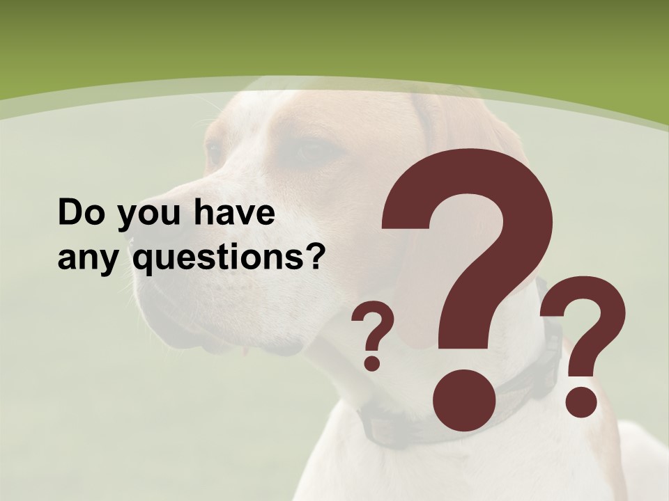 A Brown And White Dog Sitting On Top Of A Green Field PowerPoint Template