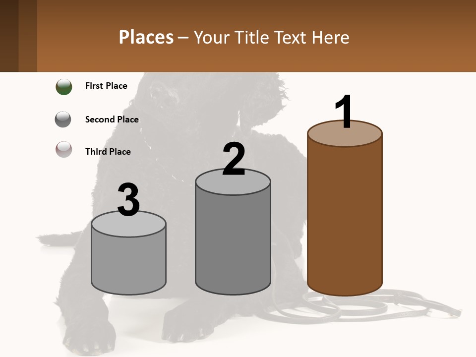 A Black Dog With A Leash On A White Background PowerPoint Template