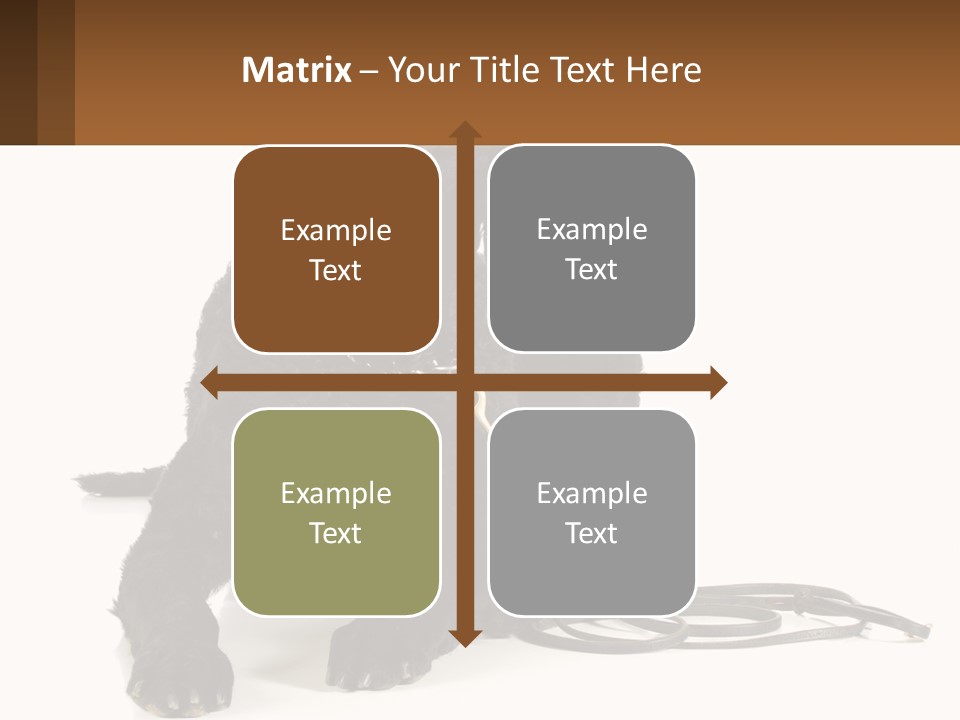 A Black Dog With A Leash On A White Background PowerPoint Template