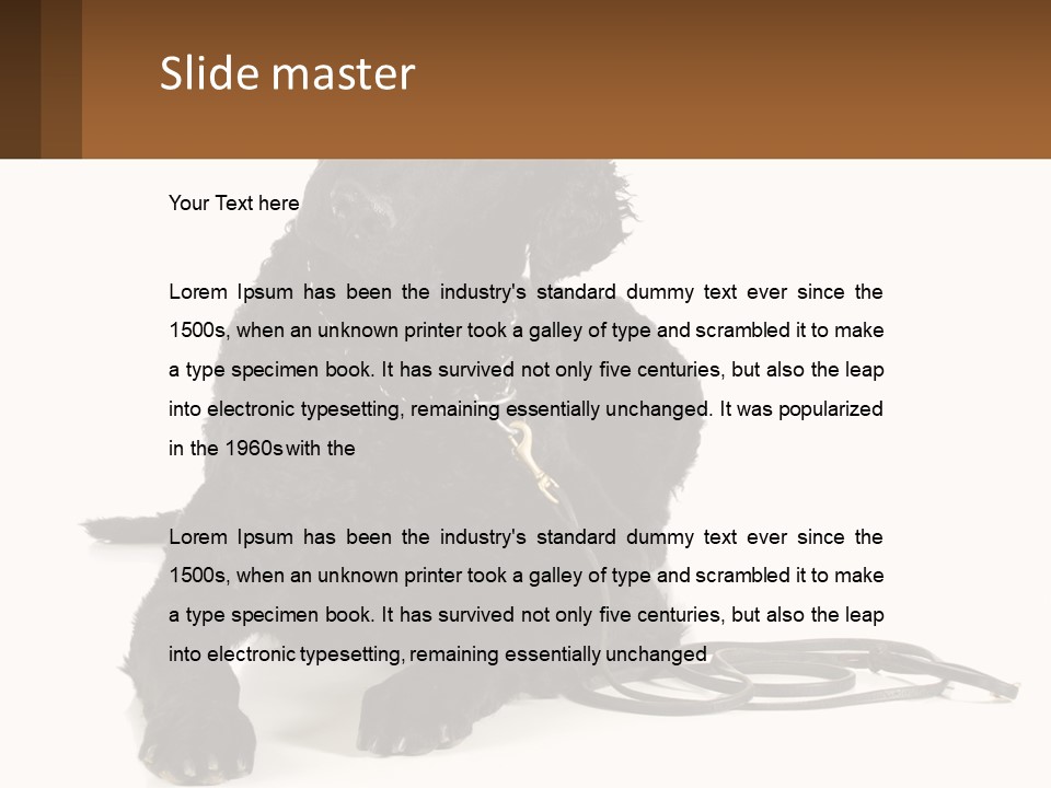 A Black Dog With A Leash On A White Background PowerPoint Template