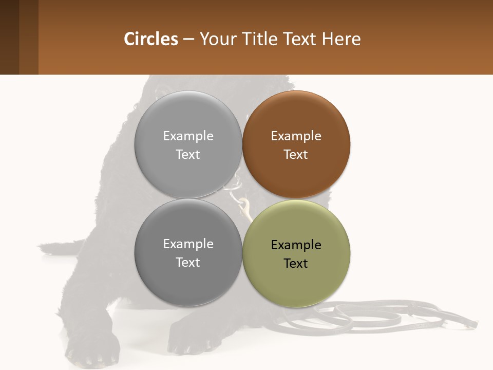 A Black Dog With A Leash On A White Background PowerPoint Template