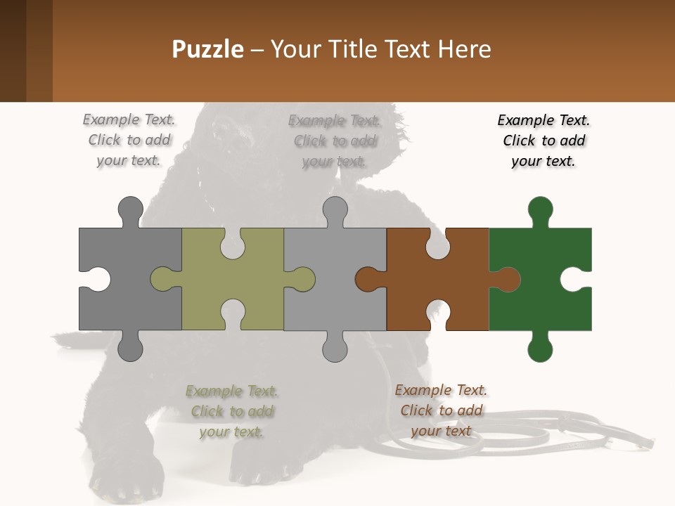 A Black Dog With A Leash On A White Background PowerPoint Template