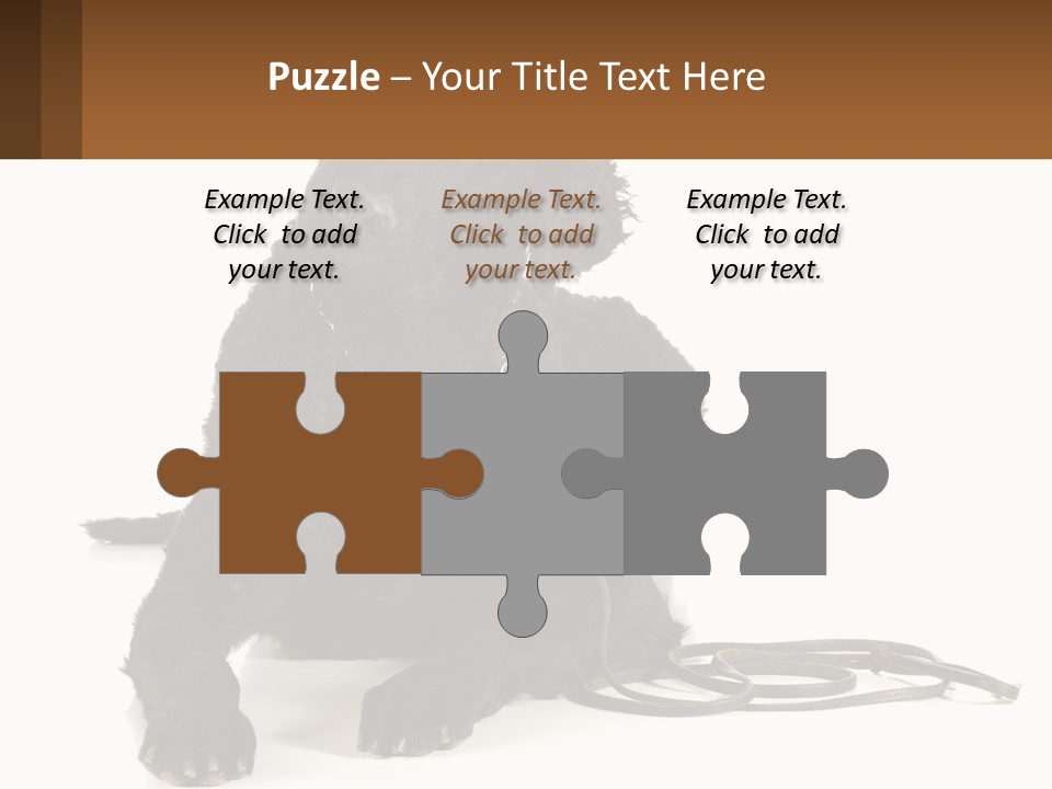 A Black Dog With A Leash On A White Background PowerPoint Template