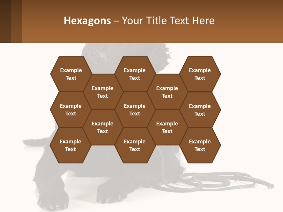 A Black Dog With A Leash On A White Background PowerPoint Template