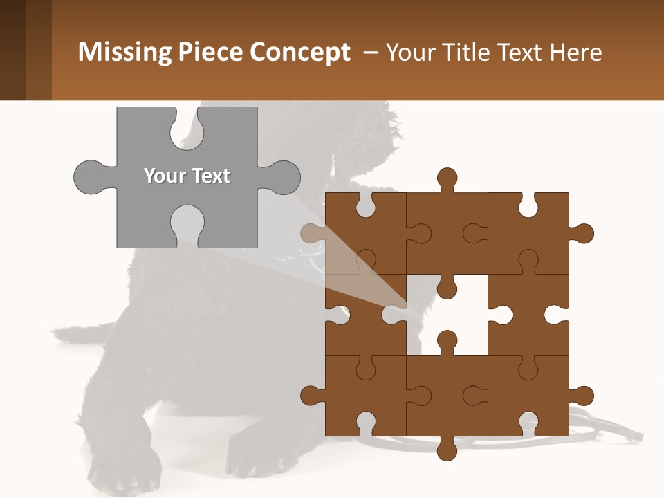 A Black Dog With A Leash On A White Background PowerPoint Template