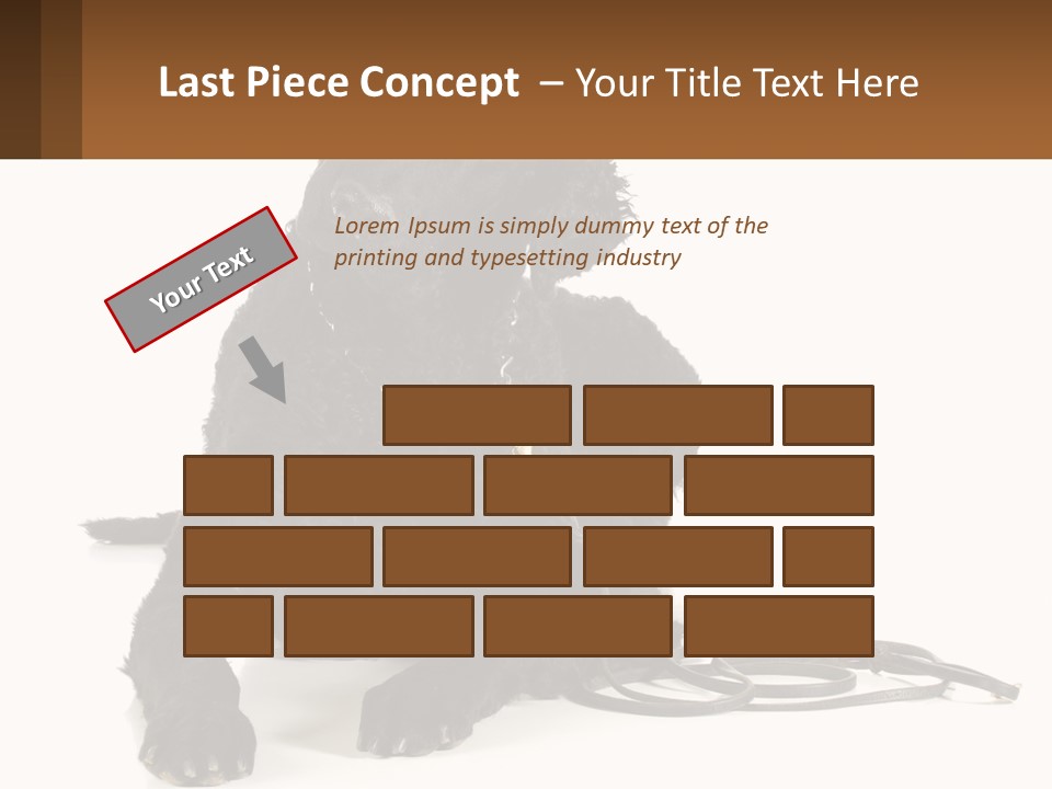 A Black Dog With A Leash On A White Background PowerPoint Template