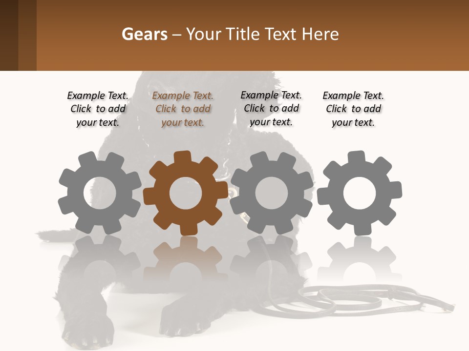 A Black Dog With A Leash On A White Background PowerPoint Template