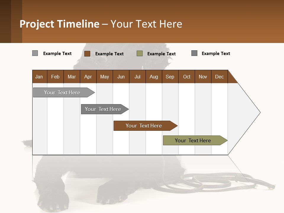 A Black Dog With A Leash On A White Background PowerPoint Template