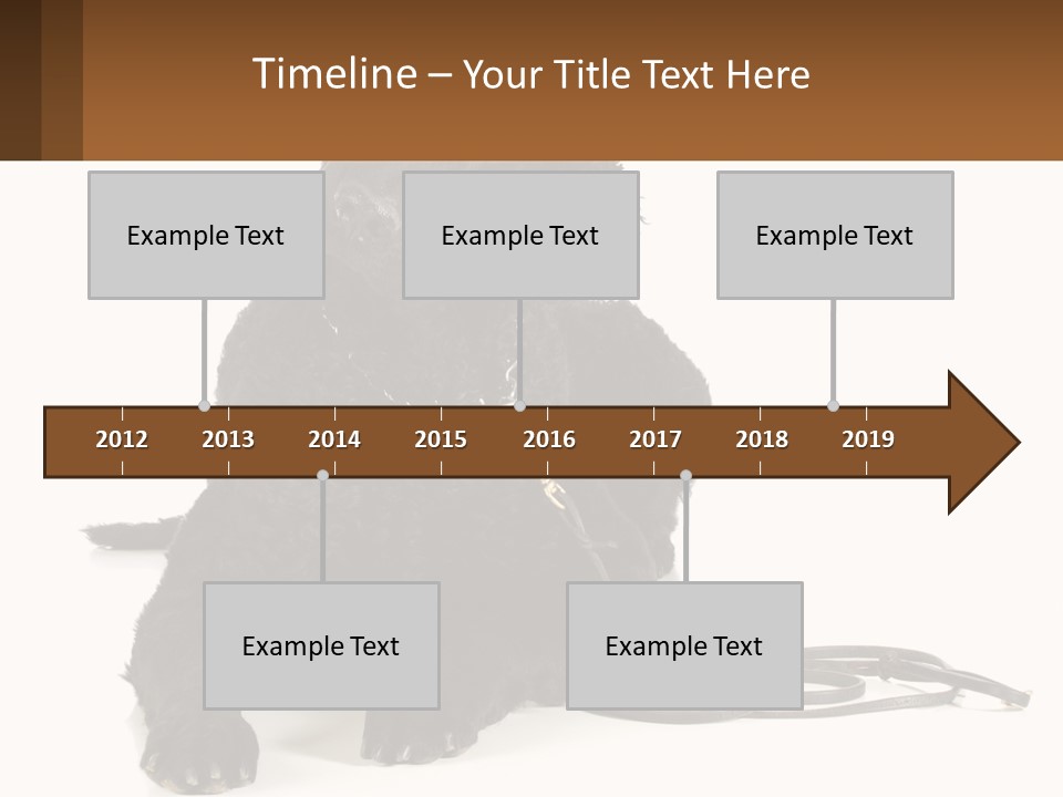 A Black Dog With A Leash On A White Background PowerPoint Template