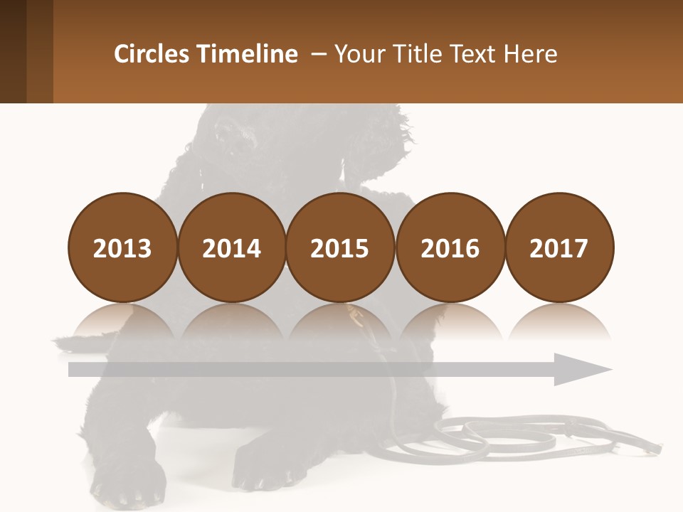 A Black Dog With A Leash On A White Background PowerPoint Template