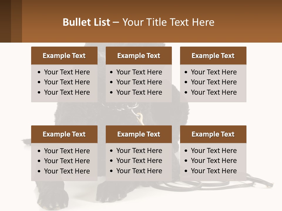 A Black Dog With A Leash On A White Background PowerPoint Template