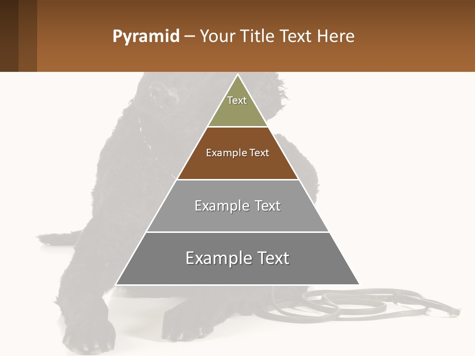 A Black Dog With A Leash On A White Background PowerPoint Template