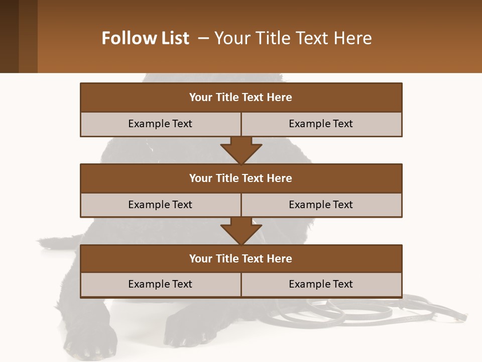 A Black Dog With A Leash On A White Background PowerPoint Template