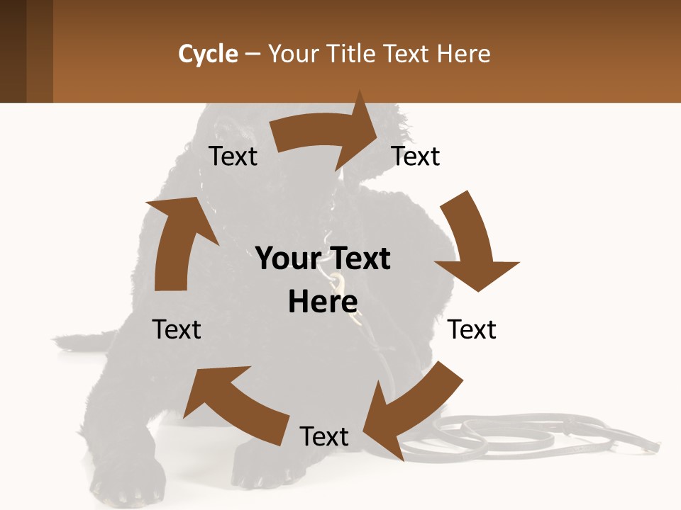 A Black Dog With A Leash On A White Background PowerPoint Template