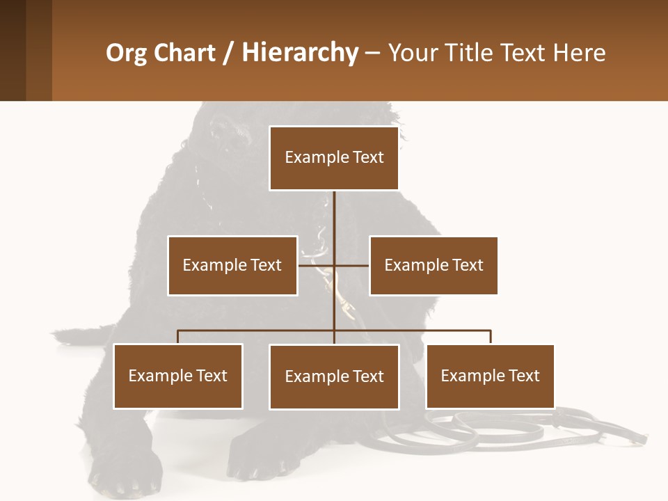 A Black Dog With A Leash On A White Background PowerPoint Template