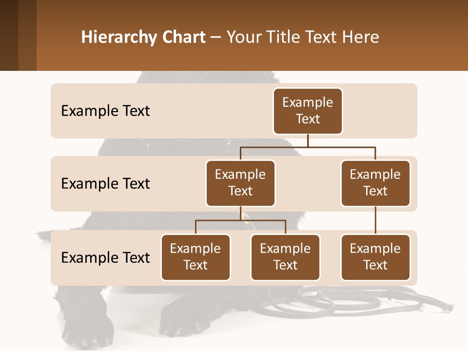 A Black Dog With A Leash On A White Background PowerPoint Template