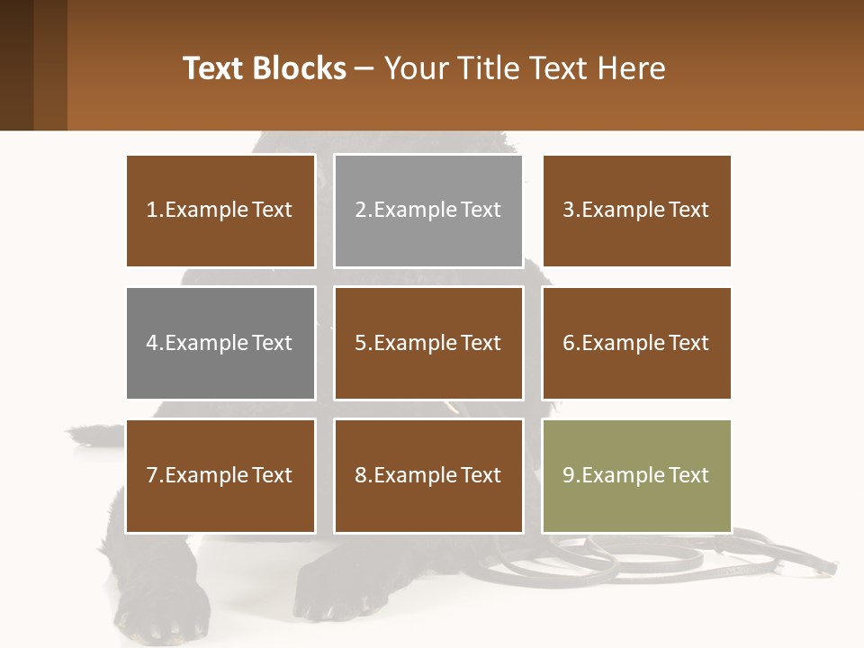 A Black Dog With A Leash On A White Background PowerPoint Template