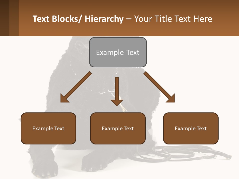 A Black Dog With A Leash On A White Background PowerPoint Template