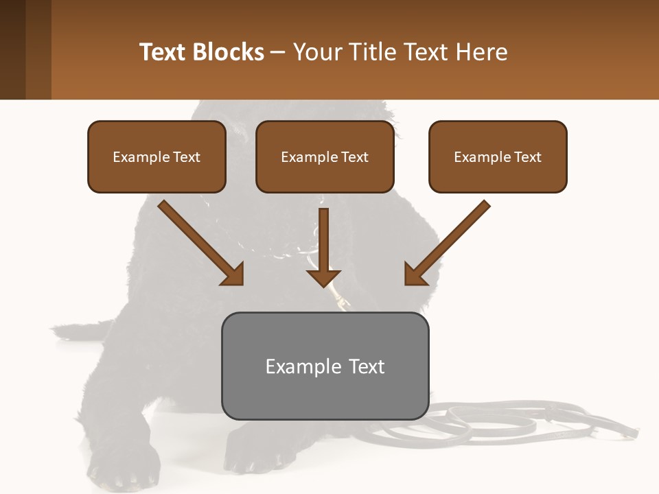 A Black Dog With A Leash On A White Background PowerPoint Template