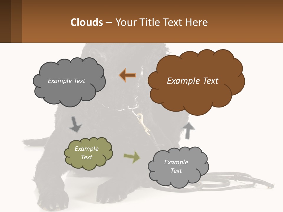 A Black Dog With A Leash On A White Background PowerPoint Template