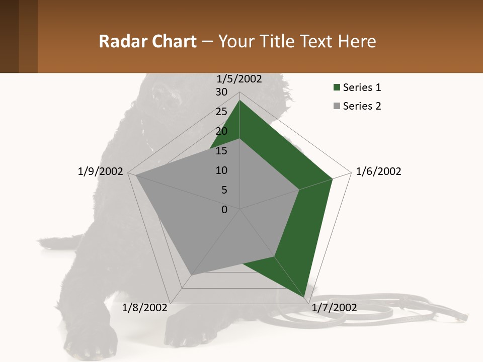 A Black Dog With A Leash On A White Background PowerPoint Template