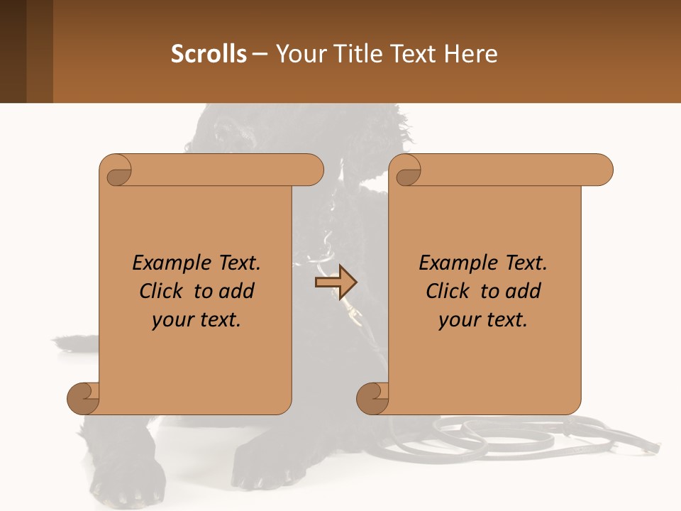 A Black Dog With A Leash On A White Background PowerPoint Template