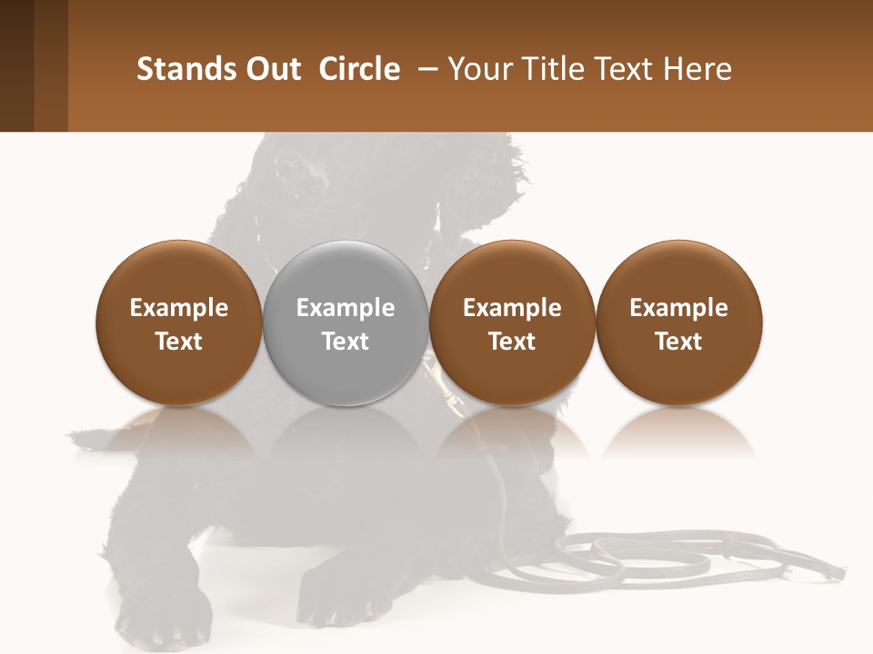 A Black Dog With A Leash On A White Background PowerPoint Template