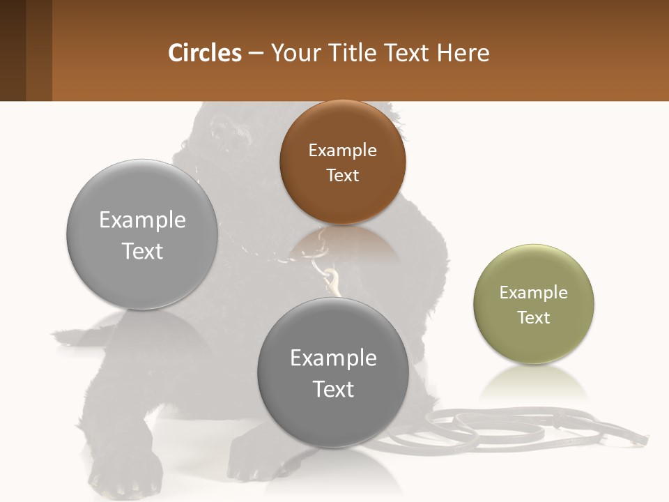 A Black Dog With A Leash On A White Background PowerPoint Template