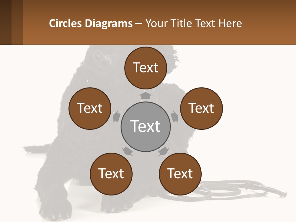 A Black Dog With A Leash On A White Background PowerPoint Template