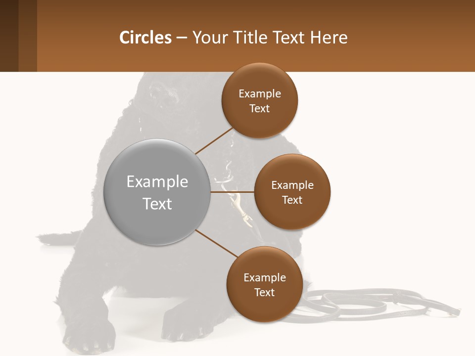 A Black Dog With A Leash On A White Background PowerPoint Template